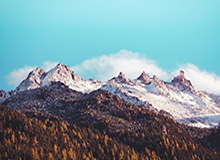 特里皮尔违反英足总博彩条例 遭10周禁赛全球有效